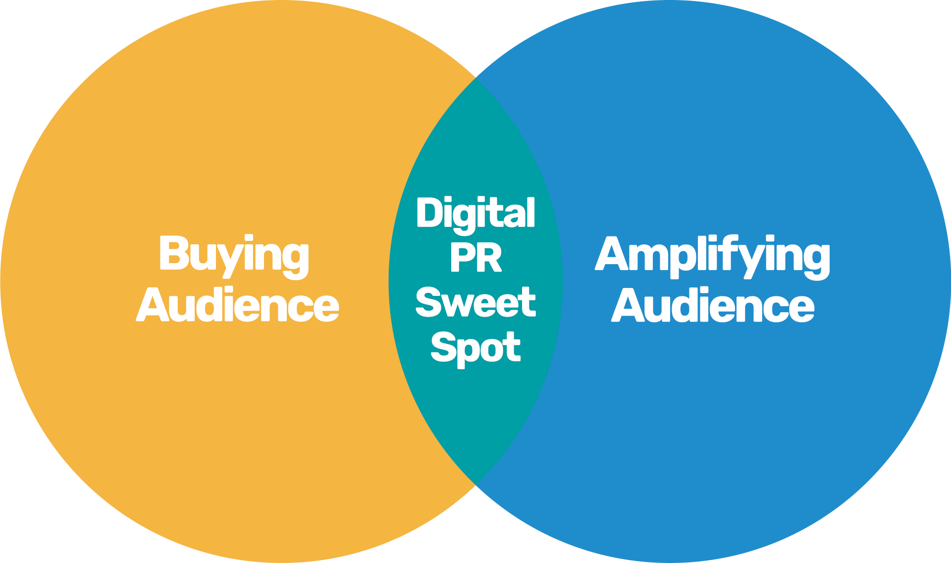   Digital PR Outreach and Amplification