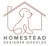 Branding Project 2