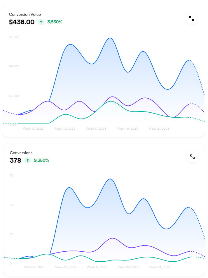 Savannah GA Google Ads Performance Overview