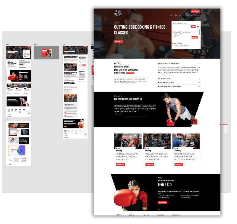 Website Design